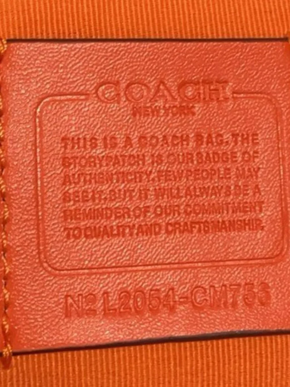 Coach Halloween Carriage Signature Canvas Tote Bag